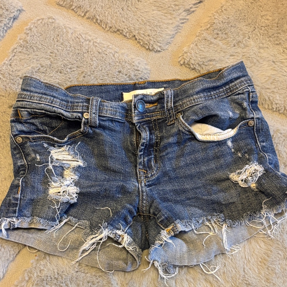 Eunina Distressed Blue Jean Shorts